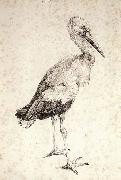 Albrecht Durer The Stork Spain oil painting artist